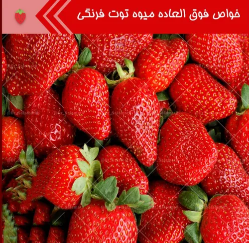 🍓 توت فرنگی چربی خوب خون را افزایش داده، فشارخون را پایین