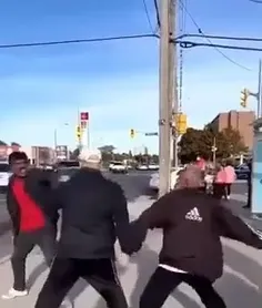 🔘دیوانه خانه تورنتو ،کانادا..