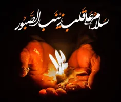 🕯 ️فرازی از زیارت نامه حضرت زینب کبری (س):