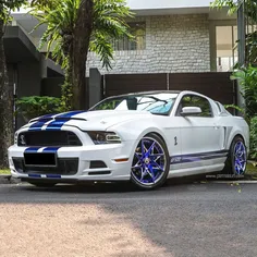Ford-Shelby_GT500