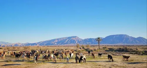 طبیعت علی آباد لارستان من علی آبادی هستم طبیعت بکر زیبایی