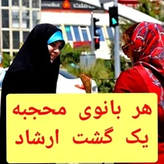 با اصلاح قانون حمایت از آمران به معروف، انشالا هر بانوی م