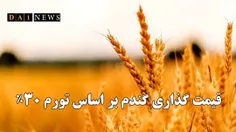 قیمت گذاری گندم بر اساس تورم ۳۰ درصد اعلام شد