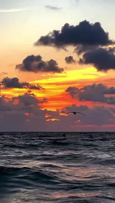 حال دلتون خوش