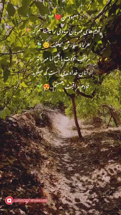 شیراز محمود اباد (باغ بابابزرگم)