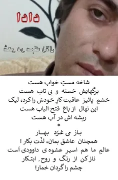 سبک زلال