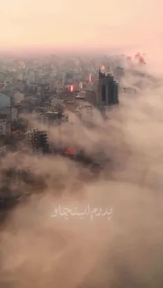 محسن چاوشی جواب ترامپ را داد
