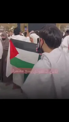 🎥 نیروهای امنیتی رژیم سعودی از برافراشتن پرچم فلسطین در م