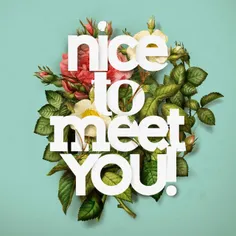 nice to meet you  !