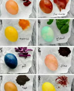 ایده رنگ کردن تخم مرغ با رنگ‌های طبیعی برای تخم مرغ هفت س