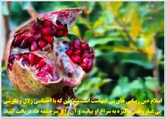 فهمیدن زیبایی #انار ؛ فرصت دوباره ی #عاشقی است.
