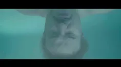 سریال شغال