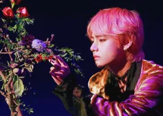 #v