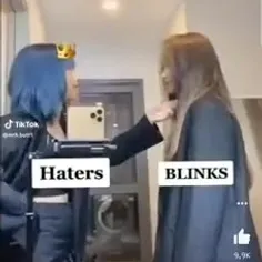 BLINK AND ARMY 