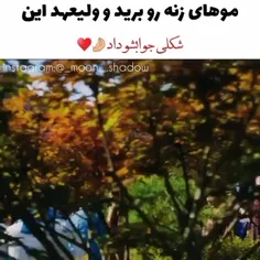 علاقه پادشاه 