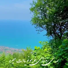 🌷🌷 صدای بهار مثل ،