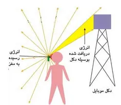 در جهان امروز انسان‌ها به طور خواسته يا ناخواسته در معرض 