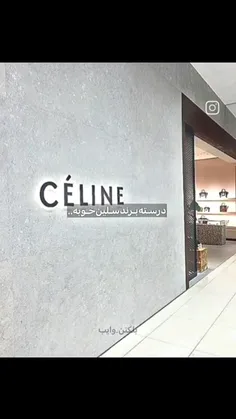 Celine brand ambassadors