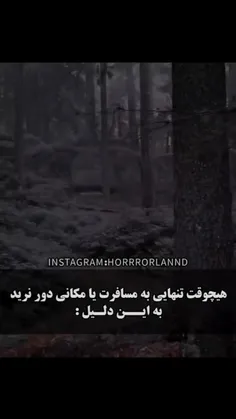 تنهایی سفر نرو! •••