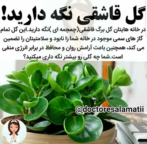 سلامت و تندرستی ebrahim_marym 27981876 - عکس ویسگون