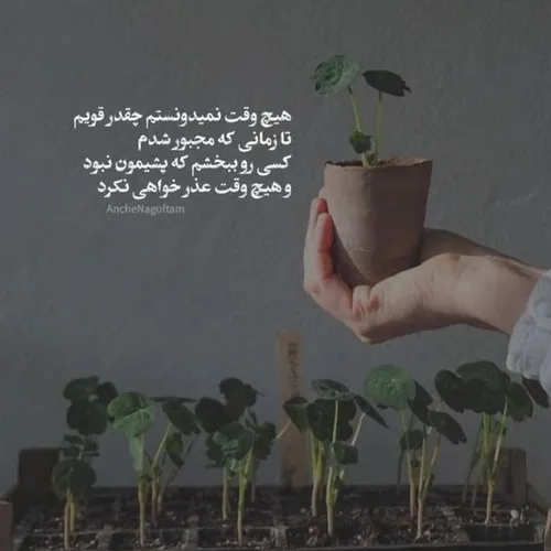 عذرخواهی