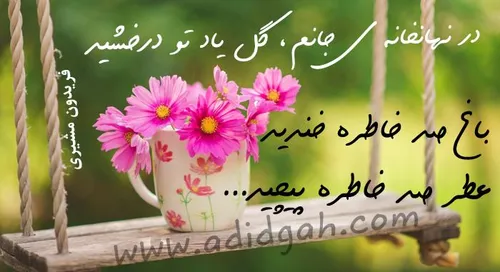 گوناگون amirsadeoo1100 16038512 - عکس ویسگون