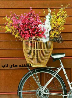 زندگی مثل دوچرخه سواری