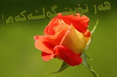 تقدیم به ++++++++++++