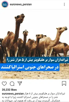 ⚫ ️ اگر این اتفاق در ایران رخ داده بود #روشنفکران_خودفروخ