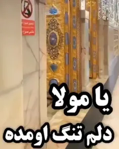 فقط حیدر امیر المومنین بود 🌹🌹🌹🌹🌹