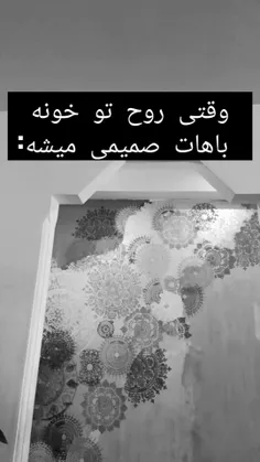 xhudhdhhd 50477478