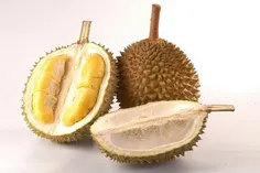 دوریان (Durian) - میوه بد بو