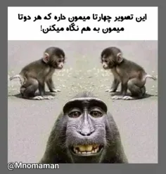 هر کی فهمید چهارمی کیه 😐😅😅😅😅😅