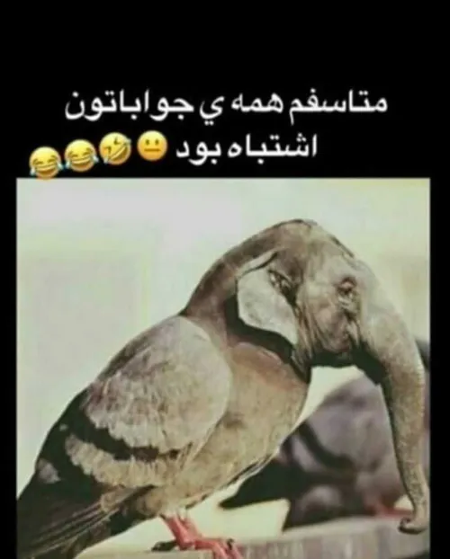 حیوون به این خوشگلی چرا به ذهنتون نرسید بگین😂 smile طنز