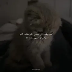 حسرتش موند رو دلم 🥲💔