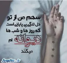 تنها سهم من از تو دلتنگی است