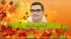 فرازی زیبا از استاد انور الشحات انور