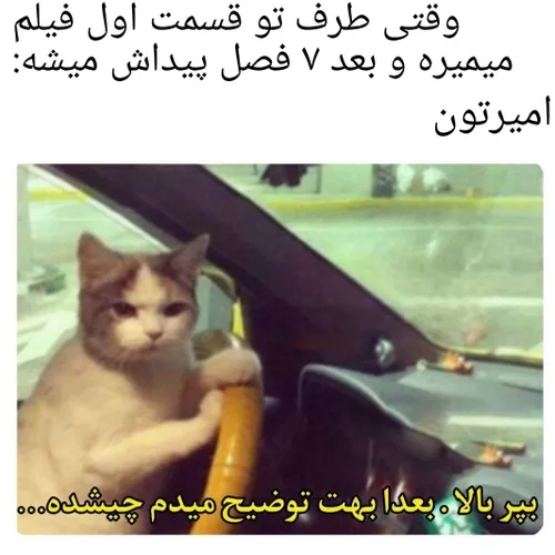 فیلمای ایرانی: