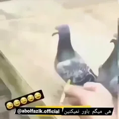 هرکی باورش نمیشه خدش بیاد خونمون ببینه😂😂😂