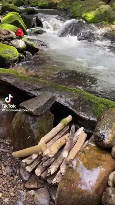 وقتی آقایون آشپزی میکنن👌🍖🍢🍤