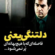 دلتنگی....