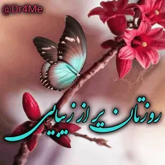 هنر m.shad 30670150