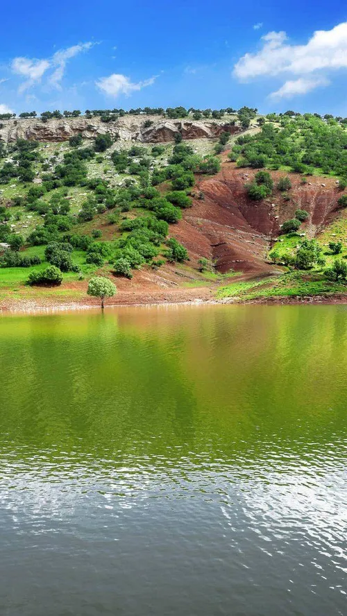 ایران را باید دید