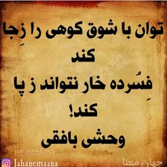 توان با شوق کوهی را ز جا کند