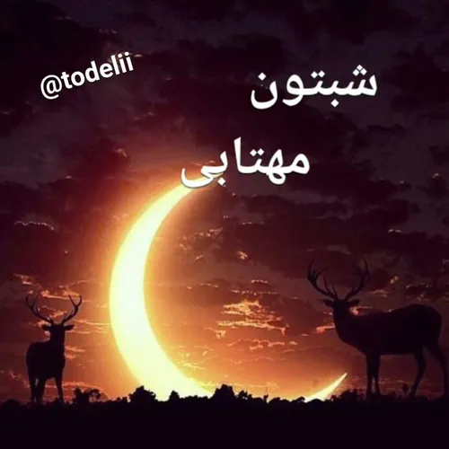 هزارآرزوی بشر