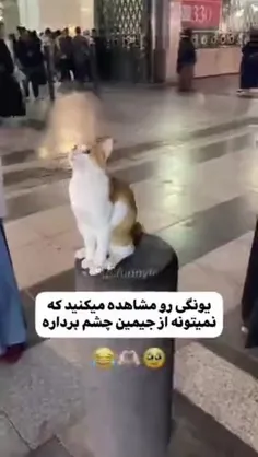 اخیییی😅