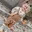 fatemeh_3085