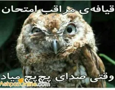 والله بخدا....