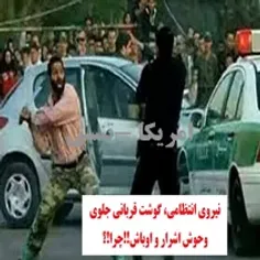 مجلس انقلابی، مدافعین امنیت ایران اسلامی همیشه سرافراز را دریابید!