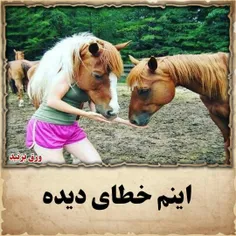 اینم خطای دیده